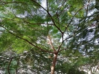 Teneryfa 2019 105